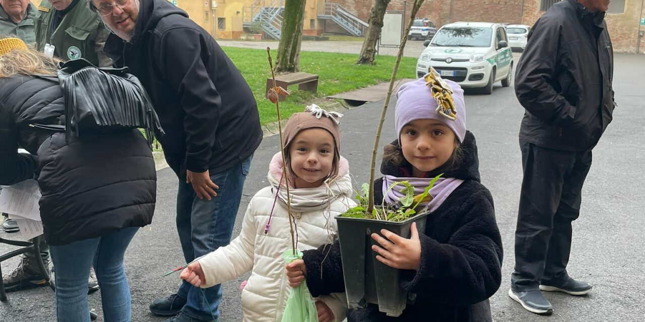 NOVELLARA SEMPRE PIU’ VERDI, 100 ALBERI IN PIU’