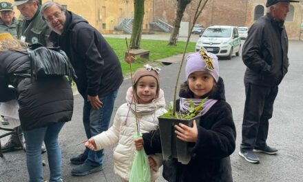 NOVELLARA SEMPRE PIU’ VERDI, 100 ALBERI IN PIU’