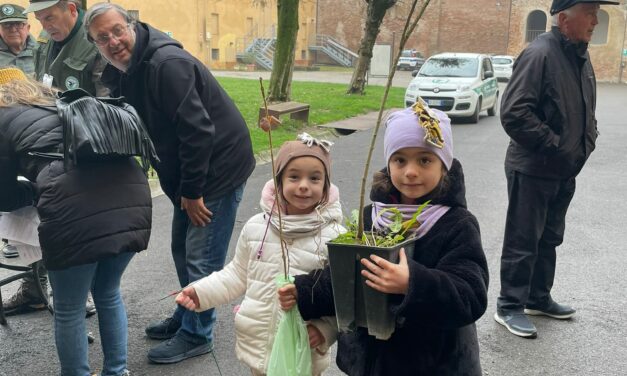 NOVELLARA SEMPRE PIU’ VERDI, 100 ALBERI IN PIU’