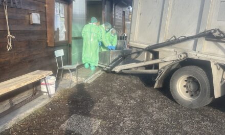 FEBBRE SUINA, DUE CASI SU CARCASSE CINGHIALI A VILLA MINOZZO