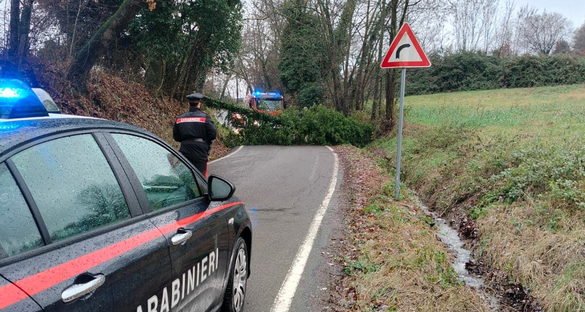 PIOGGIA NEVE E PIANTE SRADICATE, INTERVENTI DEI CARABINIERI