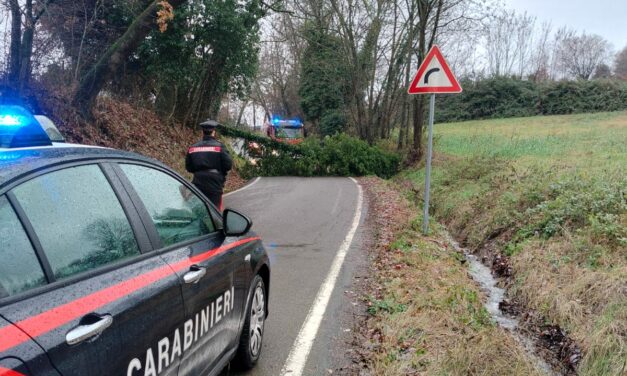 PIOGGIA NEVE E PIANTE SRADICATE, INTERVENTI DEI CARABINIERI