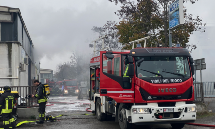 MANCASALE, ROGO IN AZIENDA, OPERAI EVACUATI