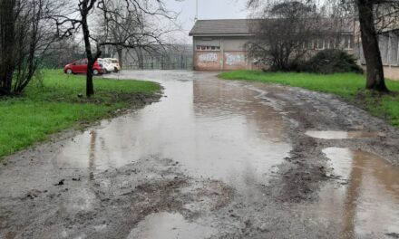 Viabilità, sicurezza e barriere antirumore: due petizioni a Rivalta e Pappagnocca