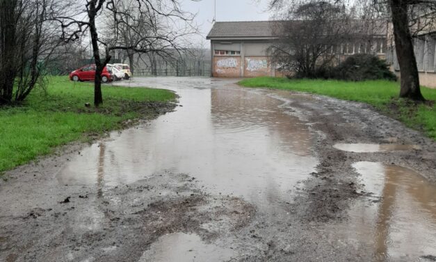 Viabilità, sicurezza e barriere antirumore: due petizioni a Rivalta e Pappagnocca