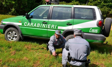 SMALTIMENTO ILLECITA DI RIFIUTI, NOVE INDAGATI