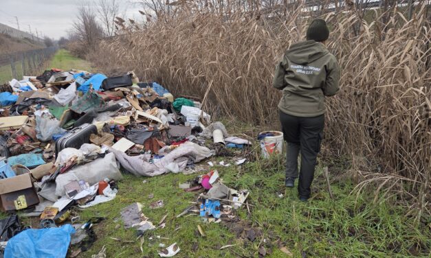 Campegine. Guardie ecologiche scoprono una discarica a cielo aperto