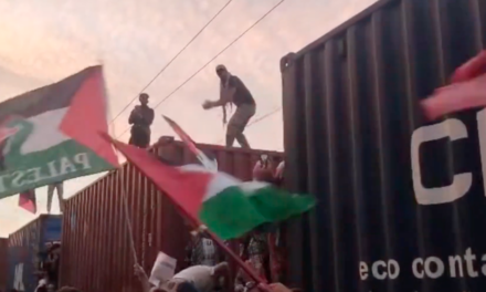 MANIFESTAZIONI PROPAL, DENUNCIATI UNA VENTINA DI ATTIVISTI