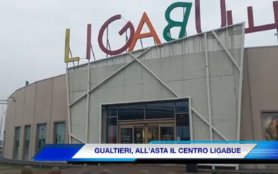 GUALTIERI. ALL’ASTA IL CENTRO LIGABUE: SI PARTE DA 1 MLN (video Tg)