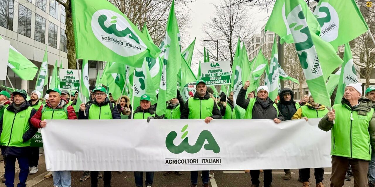 CIA REGGIO PROTESTA A STRASBURGO CONTRO IL MERCOSUR