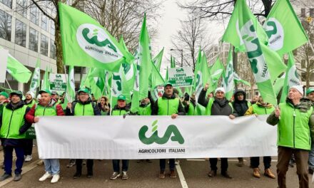 CIA REGGIO PROTESTA A STRASBURGO CONTRO IL MERCOSUR