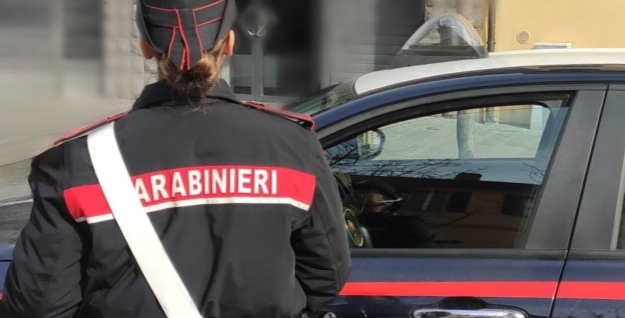 GUASTALLA. VUOLE I SOLDI PER LA DROGA, RINCHIUDE IL PADRE NELLA STALLA