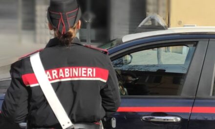 GUASTALLA. VUOLE I SOLDI PER LA DROGA, RINCHIUDE IL PADRE NELLA STALLA