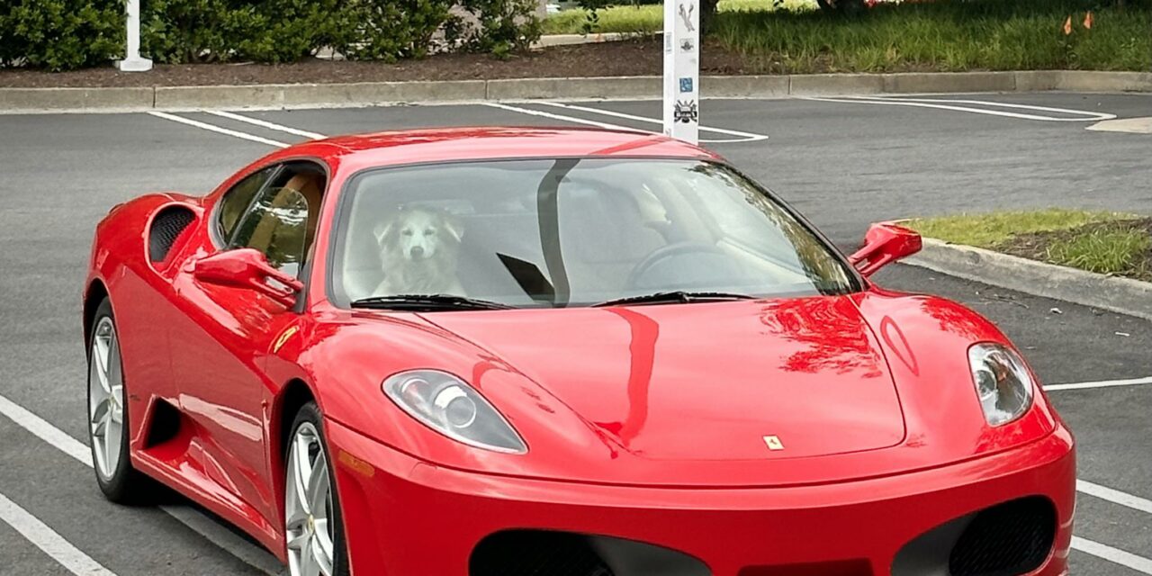 FERRARI F430 VENDUTA PER ROSSA, MA ERA GRIGIA: DENUNCIATO 42ENNE