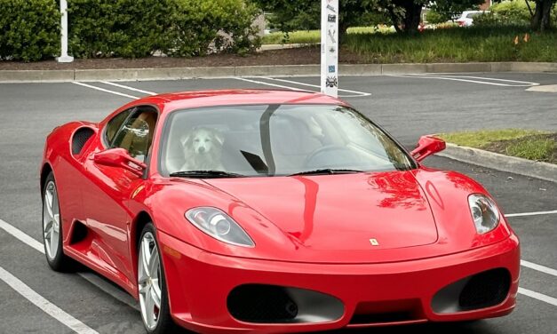 FERRARI F430 VENDUTA PER ROSSA, MA ERA GRIGIA: DENUNCIATO 42ENNE