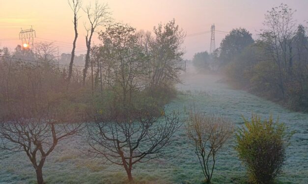 ALBA DI GHIACCIO, VA SOTTO ZERO ANCHE LA PIANURA