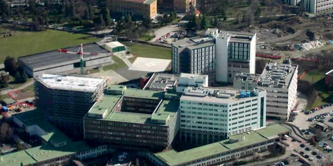 MENINGITE STRONCA BIMBA DI 13 MESI