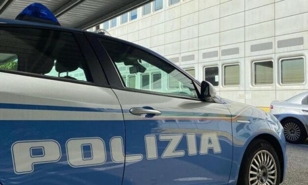 LUZZARA, POLIZIA SCOPRE RIVENDITA ABUSIVA DI VEICOLI