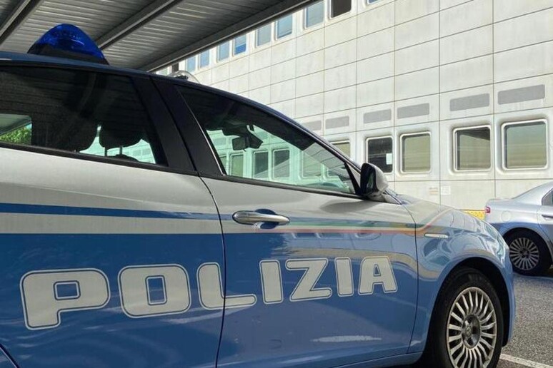 LUZZARA, POLIZIA SCOPRE RIVENDITA ABUSIVA DI VEICOLI