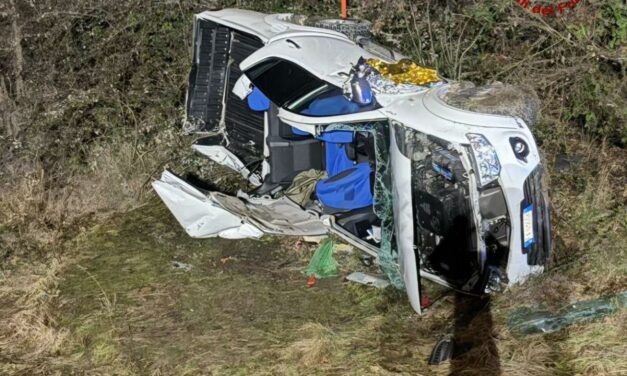 BAISO. AUTO ESCE DI STRADA E PRECIPITA NELLA SCARPATA: DUE FERITI GRAVI