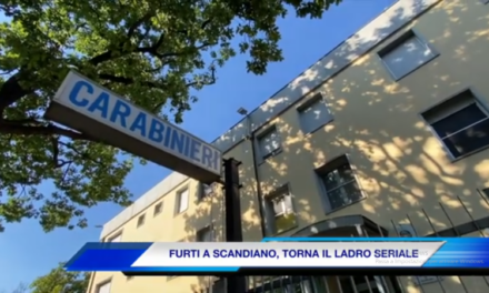 SCANDIANO, ANCORA IN AZIONE LADRO SERIALE: ARRESTATO E LIBERATO (video Tg)