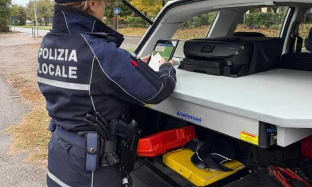 REGGIO. IN TRE GIORNI 12 AUTO SENZA ASSICURAZIONE, 2 CONFISCATE