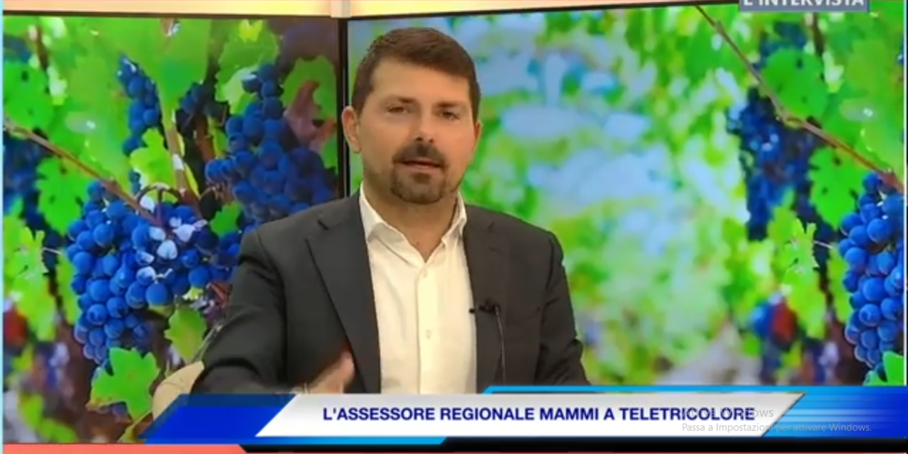 DIGA DI VETTO. L’ASSESSORE MAMMI: L’INVASO IN VAL D’ENZA E’ NECESSARIO (alle 21 su Teletricolore)