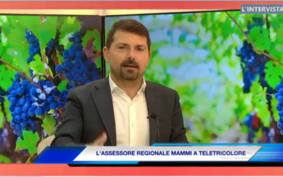 DIGA DI VETTO. L’ASSESSORE MAMMI: L’INVASO IN VAL D’ENZA E’ NECESSARIO