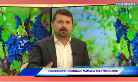 DIGA DI VETTO. L’ASSESSORE MAMMI: L’INVASO IN VAL D’ENZA E’ NECESSARIO (alle 21 su Teletricolore)