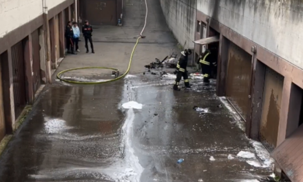 REGGIO. INCENDIO GARAGE IN VIA PARIDISI, FORSE LA STUFA DI UN SENZA TETTO (video tg)