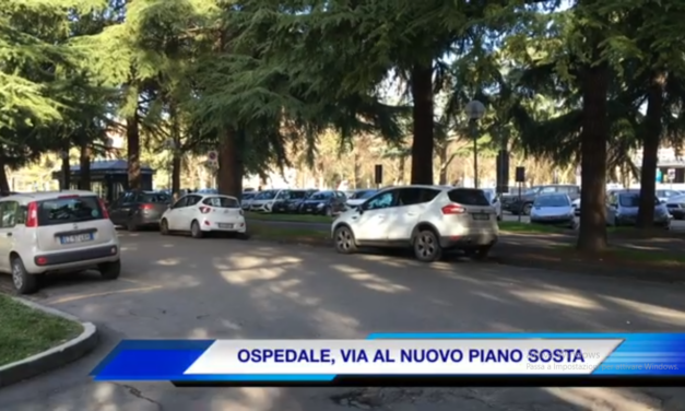 IL NUOVO PIANO SOSTA AL SANTA MARIA DI REGGIO, UN VIDEO TUTORIAL