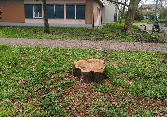 PELLINI: L’ORTO BOTANICO DEL LICEO MORO RIDOTTO A UNA TRISTEZZA