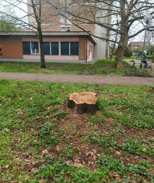 PELLINI: L’ORTO BOTANICO DEL LICEO MORO RIDOTTO A UNA TRISTEZZA