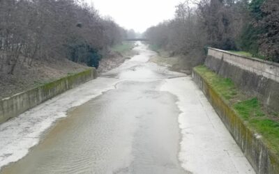 COMUNE E AIPO PER LA SALVAGUARDIA DELLA FAUNA DEL CROSTOLO