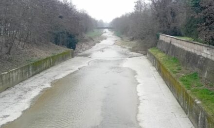 COMUNE E AIPO PER LA SALVAGUARDIA DELLA FAUNA DEL CROSTOLO