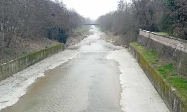 COMUNE E AIPO PER LA SALVAGUARDIA DELLA FAUNA DEL CROSTOLO