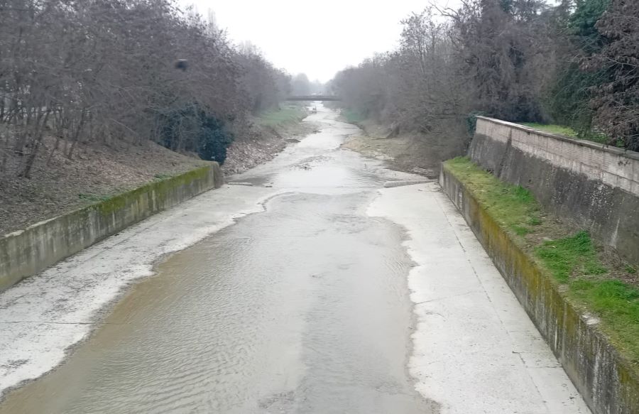 COMUNE E AIPO PER LA SALVAGUARDIA DELLA FAUNA DEL CROSTOLO
