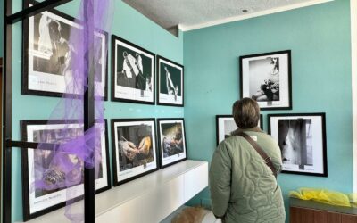 A CASALGRANDE LA MOSTRA ”DISEQUILIBRI’