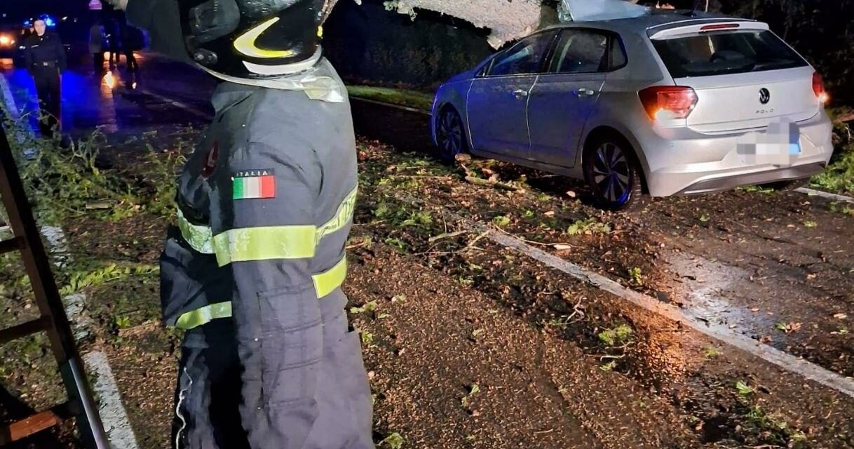 CAVRIAGO. ALBERO PRECIPITA SU UN’AUTO, TRAGEDIA SFIORATA