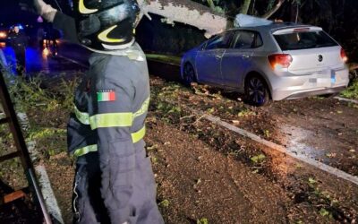CAVRIAGO. ALBERO PRECIPITA SU UN’AUTO, TRAGEDIA SFIORATA