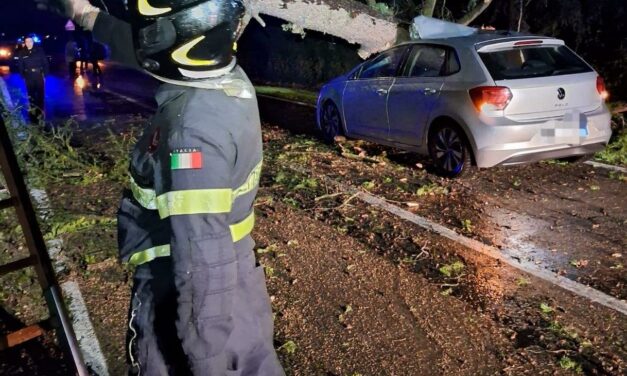 CAVRIAGO. ALBERO PRECIPITA SU UN’AUTO, TRAGEDIA SFIORATA