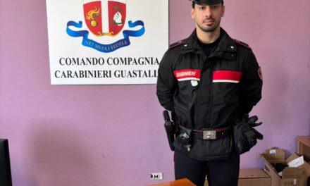 FAR WEST A COLPI DI TUBI E BASTONI NELLE CAMPAGNE DI NOVELLARA: SETTE ARRESTI
