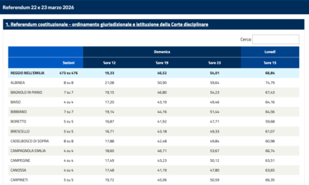 A REGGIO AFFLUENZA QUASI AL 67% , guarda la diretta su Teletricolore