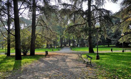 REGGIO. SFALCI IN AREE VERDI E MANUTENZIONE DI CIPPI E MONUMENTI
