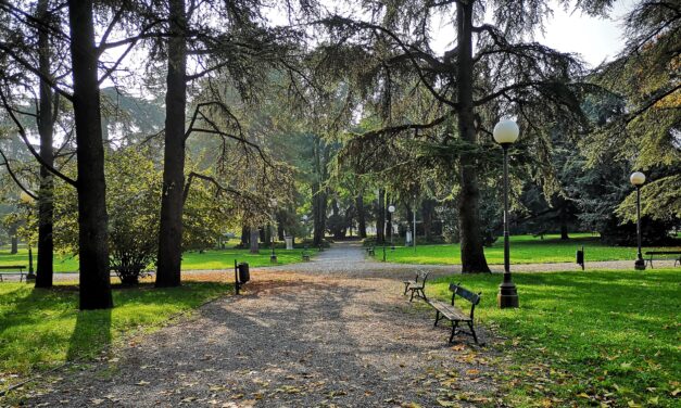 REGGIO. SFALCI IN AREE VERDI E MANUTENZIONE DI CIPPI E MONUMENTI