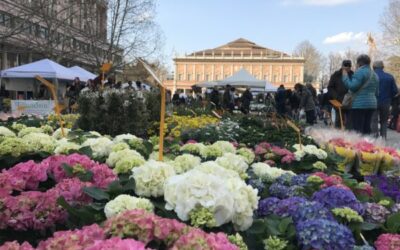 NEL WEEKEND IN CENTRO STORICO TORNA REGGIO IN FIORE