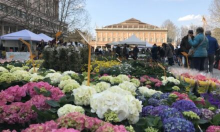 NEL WEEKEND IN CENTRO STORICO TORNA REGGIO IN FIORE