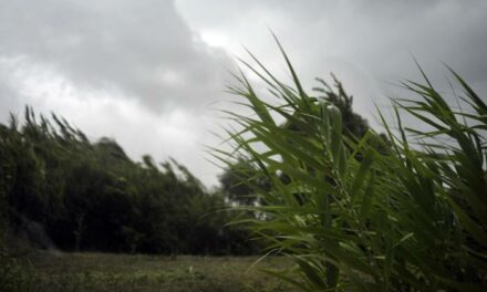 ALLERTA ARANCIONE PER VENTO FORTE SULL’APPENINO EMILIANO