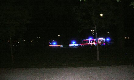 MAXI RISSA AI GIARDINI, CINQUE FERITI, UNO E’ IN RIANIMAZIONE