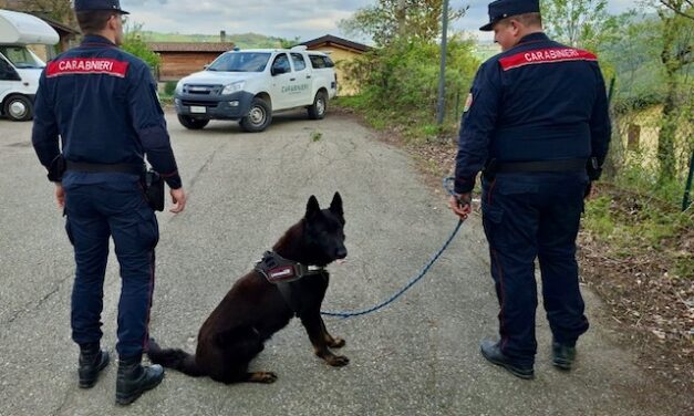 BOCCONI AL VELENO A VILLA MINOZZO, IN AZIONE IL CANE FREDDY